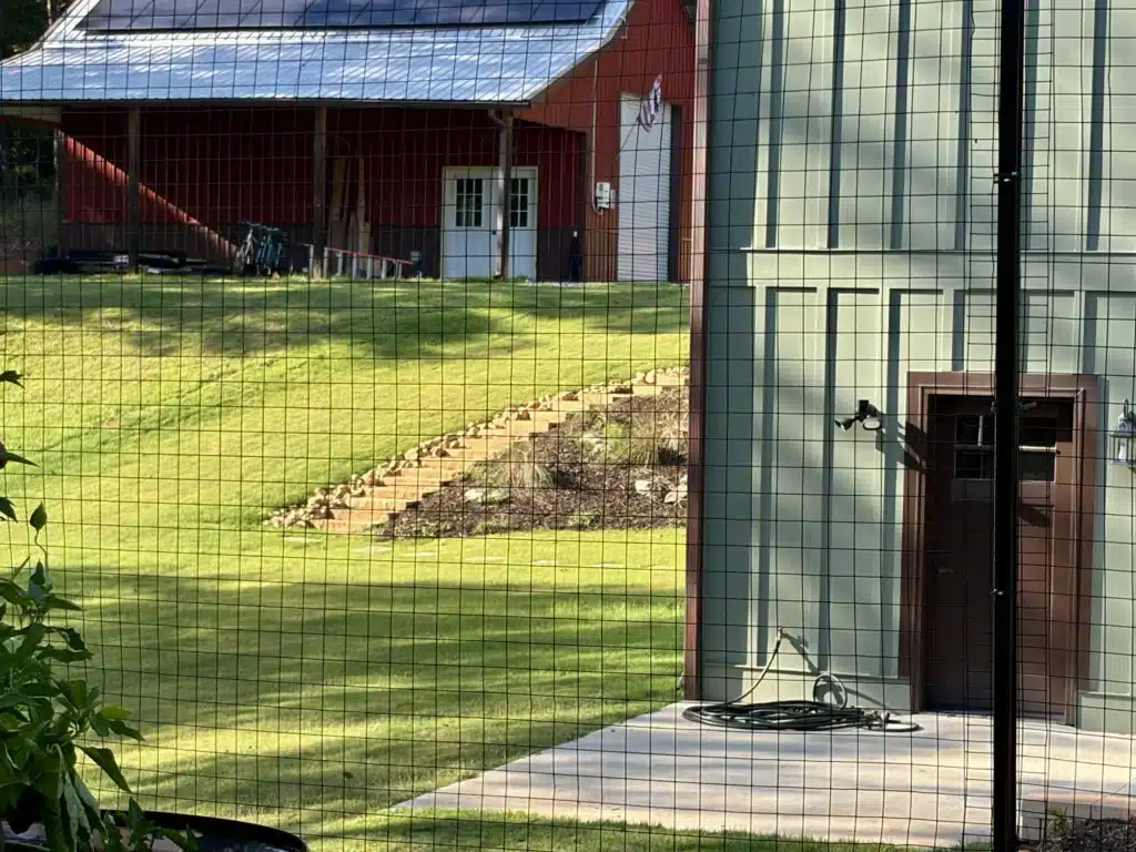 The Rock Home 65